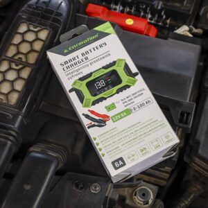 Intelligent digital rectifier for 12V 6A, 2-100 Ah batteries - Image 4