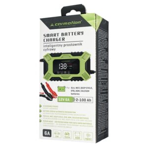 Intelligent digital rectifier for 12V 6A, 2-100 Ah batteries - Image 5