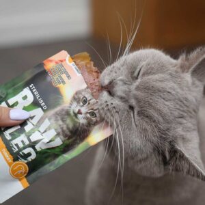 RAW PALEO Adult Cat Sterilized Turkey - šlapias kačių maistas - 100 g - Image 2