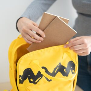 Snoopy - School Backpack (36x13x31 cm) - Image 5