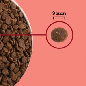 ACANA Highest Protein Indoor Cat - sausas kačių maistas - 4,5kg - Image 2