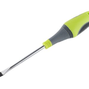 Plokščias atsuktuvas SL6x100