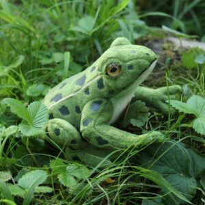 Rappa - Plush realistic green frog stuffed animal 19 cm Eco-Friendly - Image 5