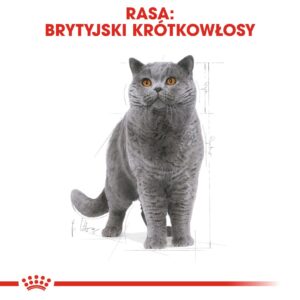 ROYAL CANIN British Shorthair - sausas kačių maistas - 2 kg - Image 3