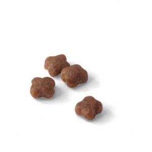 Royal Canin Mother & Babycat sausas kačių maistas 2 kg - Image 2