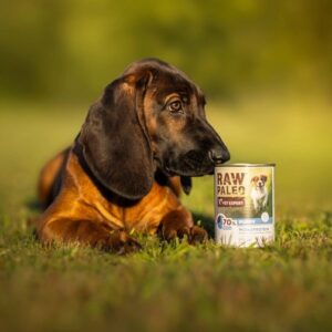 RAW PALEO Puppy Monoprotein Cod - šlapias maistas šuniukams - 400 g - Image 2