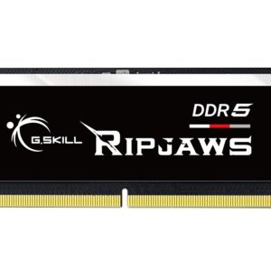 G.Skill Ripjaws F5-4800S4039A32GX1-RS atminties modulis 32 GB 1 x 32 GB DDR5 4800 MHz
