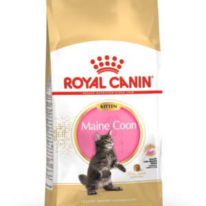 ROYAL CANIN Maine coon FBN Kitten - sausas kačių maistas - 400g - Image 2
