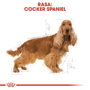 ROYAL CANIN Adult Cocker - sausas maistas šunims - 12 kg - Image 3