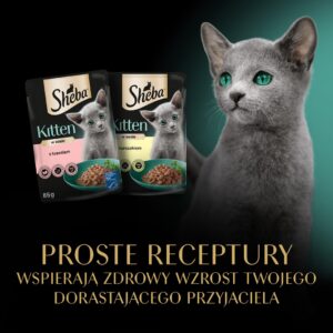 SHEBA Kitten skonių pasirinkimas padaže - šlapias kačių maistas - 40x85 g - Image 3