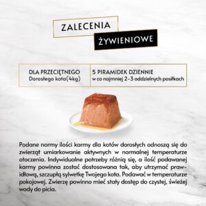 PURINA Gourmet Revelations Lašiša - drėgnas kačių maistas - 2x57 g - Image 2