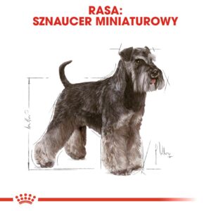 ROYAL CANIN Miniature Schnauzer Adult - sausas maistas šunims - 3 kg - Image 3