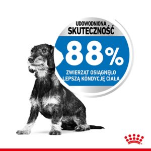 Royal Canin CCN MINI LIGHT WEIGHT CARE - sausas ėdalas suaugusiems šunims - 3kg - Image 3