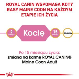 ROYAL CANIN Maine Coon Kitten - sausas kačių maistas - 2 kg - Image 3