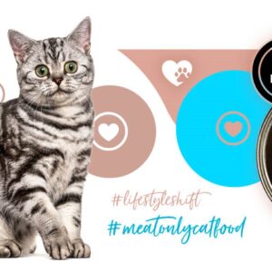 3COTY 26. Turkey and rabbit - šlapias kačių maistas - 180g - Image 3