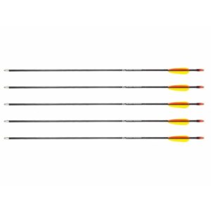 „Poe Lang„ 28“ stiklo pluošto strėlės - 5 vnt. (D-055-B3)