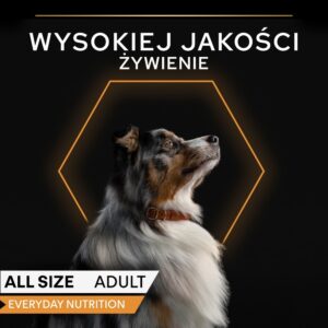 PURINA Pro Plan Everyday nutrition All size Adult Turkey in jelly - drėgnas ėdalas šunims - 400g - Image 3