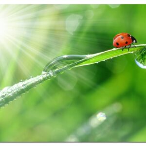 Esperanza EA133 pelės kilimėlis Multi spalvos - Image 3