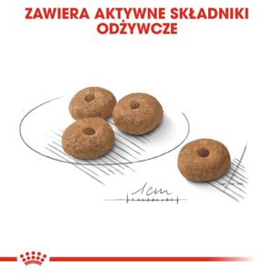 Royal Canin CCN MINI STERILISED - sausas ėdalas suaugusiems šunims - 8kg - Image 2