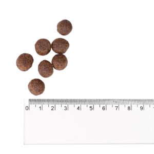 BULT Turkey - sausas maistas šunims - 3kg - Image 2