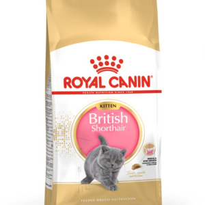 Royal Canin British Shorthair Kitten sausas kačių maistas 2 kg Kačiukas Paukštiena, Ryžiai, Daržovių - Image 2