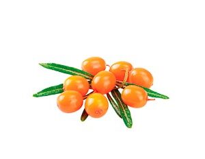 SHELMA Rich in turkey in sauce - šlapias kačių maistas - 85g - Image 3