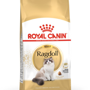 Royal Canin FBN Ragdoll Adult sausas kačių maistas 2 kg - Image 2