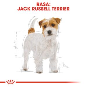 ROYAL CANIN Jack Russell Adult sausas maistas šunims - 1,5 kg - Image 3