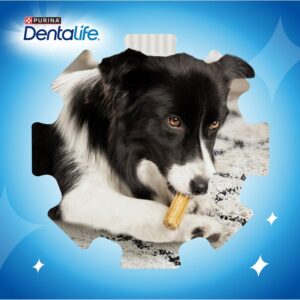 PURINA Dentalife Mini - skanėstas šuniui - 69g - Image 2