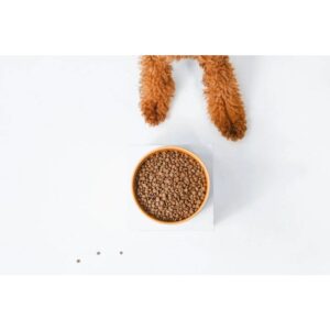 NATURE'S PROTECTION Superior Care Red Coat Adult Small breed Grain free Salmon - sausas maistas šunims - 1,5kg - Image 2