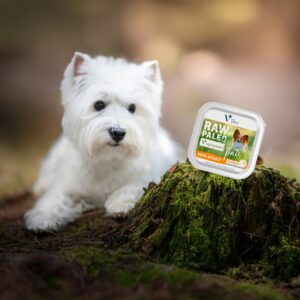 RAW PALEO Pate Mini Adult Beef - šlapias šunų maistas - 150 g - Image 3