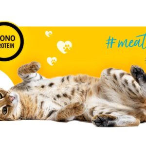 3COTY 01 Chicken - šlapias kačių maistas - 180g - Image 3