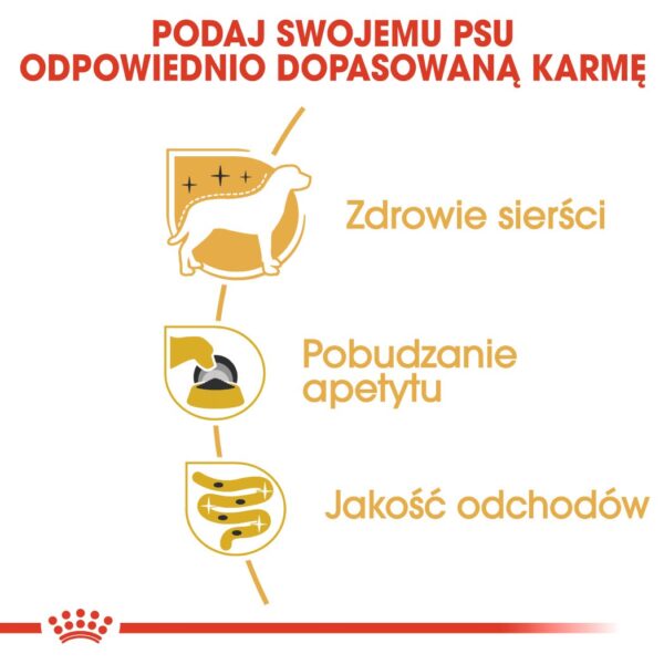 I9T118K0R0L0t1l712C7m2z609P2X6c1