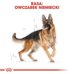 ROYAL CANIN BHN Vokiečių aviganių suaugusių šunų sausas ėdalas - 11kg - Image 3