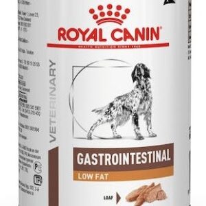 ROYAL CANIN Veterinary Diet Canine Gastrointestinal Low Fat - Šlapias maistas šunims - 420g