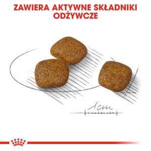 ROYAL CANIN Mini Urinary Care - sausas maistas šunims - 1 kg - Image 2