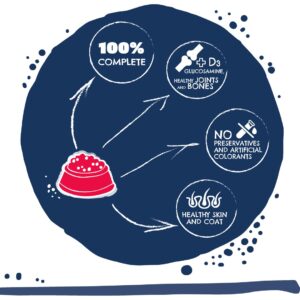 TEO Rich in beef - sausas maistas šunims - 15kg - Image 3