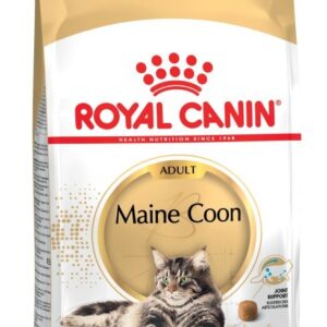 Royal Canin FBN Maine Coon Adult -  sausas ėdalas suaugusioms katėms - 4kg