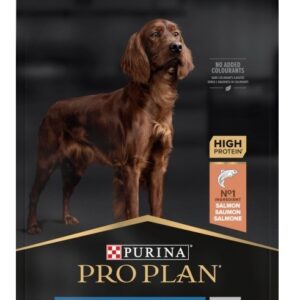 PURINA Sensitive Skin Large Athletic Adult Lašiša - sausas maistas šunims - 14 kg