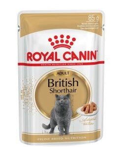 ROYAL CANIN British Shorthair pakuotė 12x85g