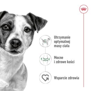 ROYAL CANIN Adult Mini S - sausas maistas šunims - 4kg - Image 3