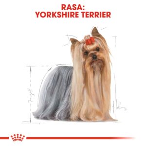 ROYAL CANIN BHN Yorkshire Terrier Adult - sausas maistas šunims - 3kg - Image 3