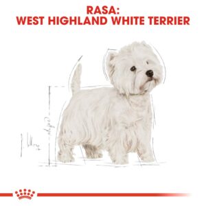 Royal Canin BHN West Highland White Terrier Adult - sausas ėdalas suaugusiems šunims - 3kg - Image 3