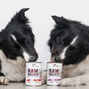 RAW PALEO Adult Monoprotein Beef - šlapias šunų maistas - 800 g - Image 3