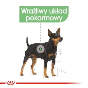 ROYAL CANIN Mini Digestive Care - sausas maistas suaugusiems mažų veislių šunims - 1kg - Image 2