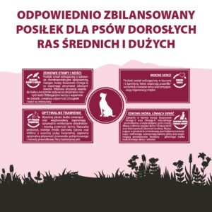 PUPIL Premium Medium and large breeds Rich in beef - sausas maistas šunims - 12kg - Image 3