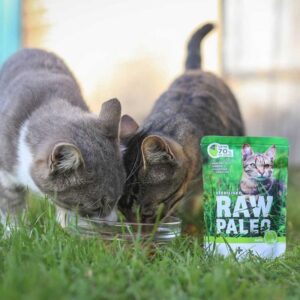 RAW PALEO Adult Cat Sterilized Elniena - šlapias kačių maistas - 100 g - Image 2