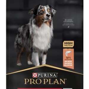 Purina Medium Adult Sensitive Skin 14 kg Suaugusių Lašišos