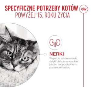 ROYAL CANIN Ageing 15+ - sausas kačių maistas - 2kg - Image 3