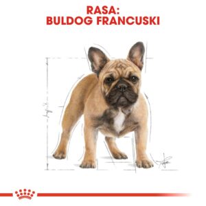 Royal Canin BHN French Bulldog Adult - sausas šunų maistas - 9kg - Image 3